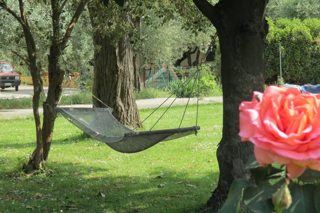 Casa Vacanze “Bouganville” loc Avane Pisa Vecchiano Exterior foto